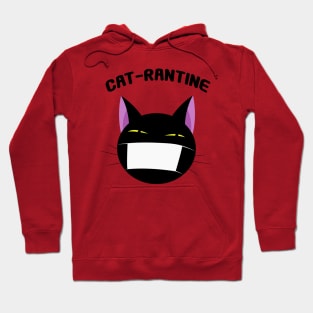 Quarantine cat Hoodie